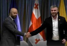 “გახარია საქართველოსთვის” და „ლელო-ძლიერი საქართველო“ თვითმართველობის არჩევნების წინ თანამშრომლობაზე შეთანხმდა