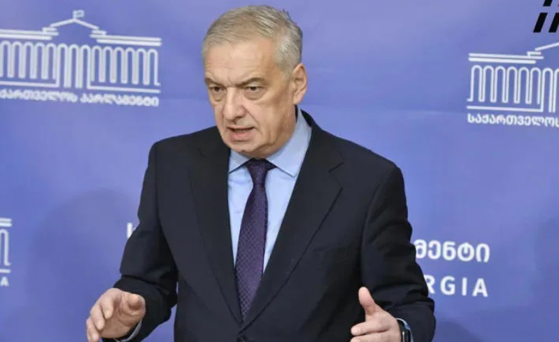 პლებისციტის აუცილებლობას ვერ ვხედავ – გია ვოლსკი