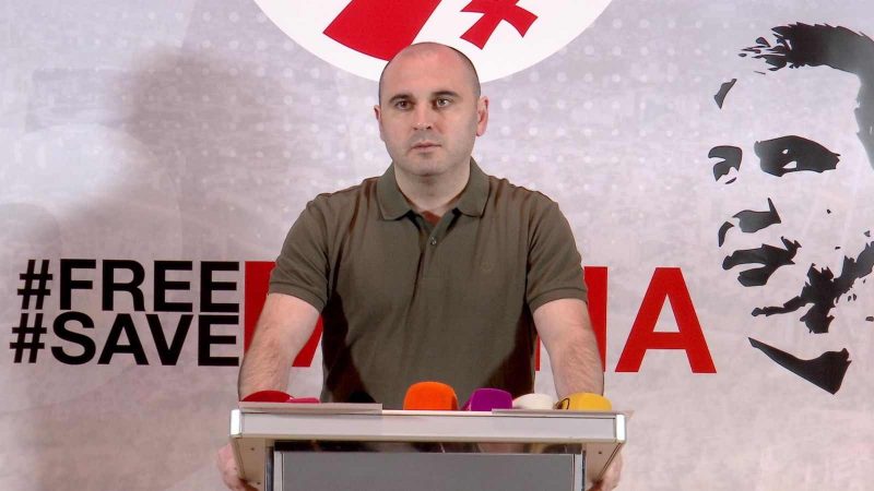 ყველაფერი ჩვენს ხელშია – ხაბეიშვილი “ტიტუშკას” ცემის საქმეზე დაკავებას გამოეხმაურა