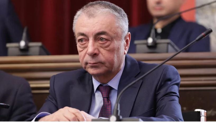 აქტივისტებს ჯარიმებს “დიფ სთეითი უხდის”- თენგიზ შარმანაშვილი