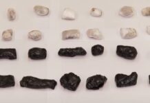 ამოღებულია 91 შეკვრა მარიხუანა – შსს-მ თურქეთის მოქალაქე დააკავა