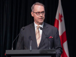 პეტერ ფიშერი ბერლინში კონსულტაციების შემდეგ საქართველოში დაბრუნდა