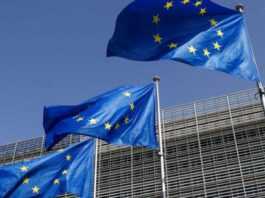 PACE ოპოზიციის ლიდერების გათავისუფლებას ითხოვს