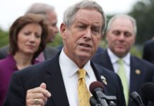 “ოცნება“ იტყუება, როცა ამბობს, რომ აშშ-თან ურთიერთობების გადატვირთვა სურს – უილსონი