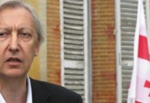 ეს არის დიქტატურა-დიასპორა აქციებს აანონსებს