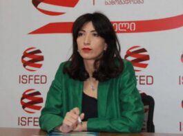 იზრდება სახელმწიფოთა რიცხვი, ვინც ემიგრანტ მოქალაქეებს არჩევნებში მონაწილეობის შესაძლებლობას აძლევენ, ჩვენ ყველაფერში უკან მივდივართ – დოლიძე