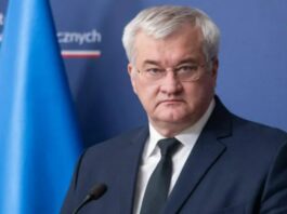 ევროკავშირში გაწევრიანების გზაზე დაბალი შედეგების მიზეზი თბილისშია და არა კიევში – სიბიგა