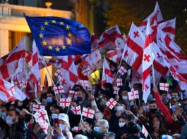 სასამართლომ სასახლის ღობის საქმეზე დაკავებული კიდევ 14 პირი პატიმრობაში დატოვა