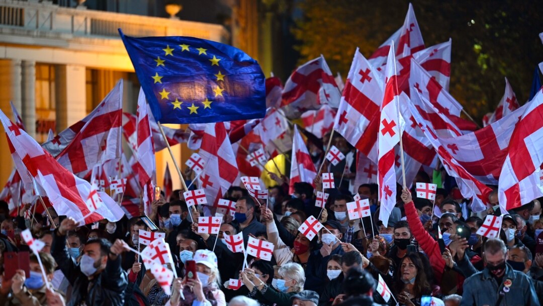 სასამართლომ სასახლის ღობის საქმეზე დაკავებული კიდევ 14 პირი პატიმრობაში დატოვა