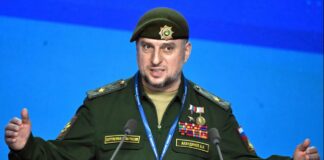 ქართველი ხალხის დღის წესრიგი რუსეთთან დაბრუნება უნდა გახდეს – ალაუდინოვი მჟავანაძესთან