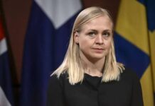 ჩემმა საქართველოში ვიზიტმა დემოკრატიული უკუსვლა აჩვენა – ელინა ვალტონენი