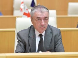 “გადაამოწმონ და თუ დადასტურდება რაც უნდათ ის უქნიათ” შარმანაშვილი BBC-ის გამოძიებაზე