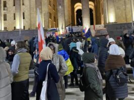 პარლამენტის წინ შეკრებილები უკრაინის მხარდამჭერ გლობალურ აქციას უერთდებიან