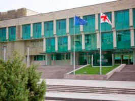 უცხოეთის ორგანიზაციისთვის მტრულ საქმიანობაში დახმარებაზე გამოძიება გრძელდება – სუს