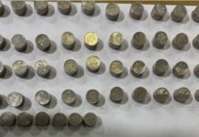 თვითმომსახურების სამრეცხაოებიდან მონეტებს ორგანიზებულად იპარავდნენ – შსს-მ 2 პირი დააკავა