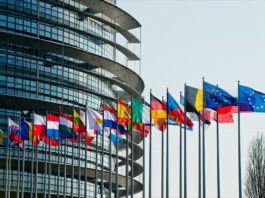 ევროპარლამენტის კომიტეტის სხდომაზე მზია ამაღლობელის უკანონო პატიმრობაზე ისაუბრეს