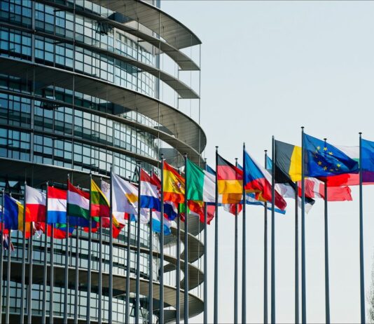 ევროპარლამენტის კომიტეტის სხდომაზე მზია ამაღლობელის უკანონო პატიმრობაზე ისაუბრეს