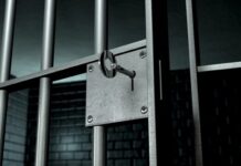 ყაველაშვილმა 11 ქალი პატიმარი შეიწყალა