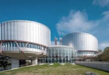 სტრასბურგმა აქციაზე დაკავებული გიორგი მექვაბიშვილის საქმეზე დარღვევა დაადგინა