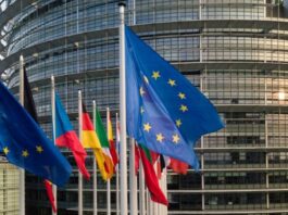 ევროპარლამენტის გაფართოების შემდეგ ტალღაში საქართველო ვერ მოხვდა