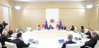 სამთავრობო კომისია საწვავის ფასების შესწავლას იწყებს