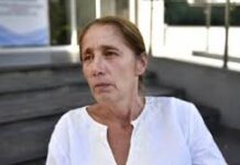 ნინო წილოსანზე დაწერილი პოსტის გამო, ნატა ფერაძის წინააღმდეგ საქმე აღძრეს