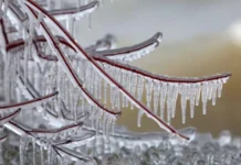 საქართველოში ჰაერის ტემპერატურა -17 გრადუსამდე დაეცემა