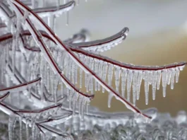 საქართველოში ჰაერის ტემპერატურა -17 გრადუსამდე დაეცემა