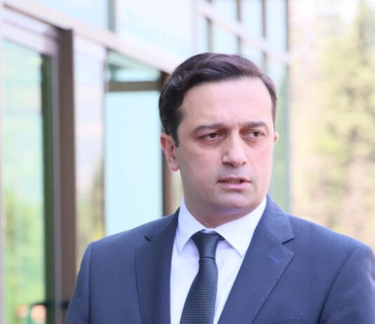 სახალხო დამცველი ციხეში ამაღლობელს, ზინოვკინას და კილაძეს შეხვდა