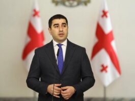 ზელენსკი არის უმადური ადამიანი – შალვა პაპუაშვილი