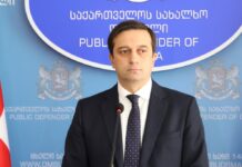 იოსელიანი-საკანონმდებლო პროცესთან დაკავშირებით შესაძლოა საკონსტიტუციოს მივმართოთ