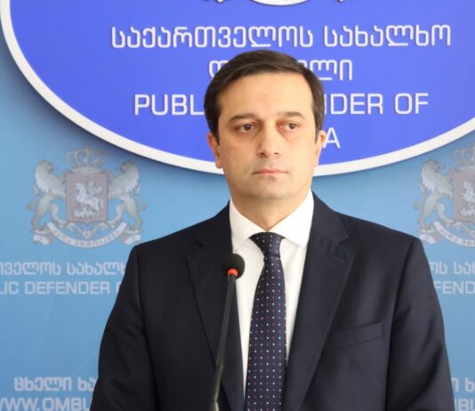 იოსელიანი-საკანონმდებლო პროცესთან დაკავშირებით შესაძლოა საკონსტიტუციოს მივმართოთ