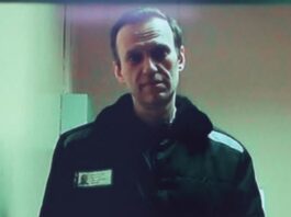 ალექსეი ნავალნი ისრის ბაყაყის ტოქსინით (ეპიბატიდინით) მოწამლეს – 5 ქვეყნის მთავრობის განცხადება