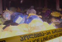 ადამიანის ამპუტირებული ნაწილები ყოფილი ფერმის შენობაში – რა ხდება სამტრედიის სოფელ მელაურში