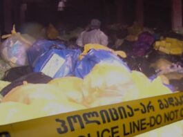 ადამიანის ამპუტირებული ნაწილები ყოფილი ფერმის შენობაში – რა ხდება სამტრედიის სოფელ მელაურში