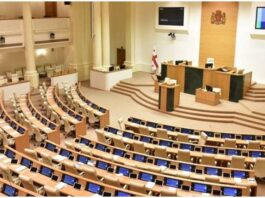 გრანტების მიღებასა და პოლიტიკურ აქტივობასთან დაკავშირებული წესები პარლამენტმა დაამტკიცა