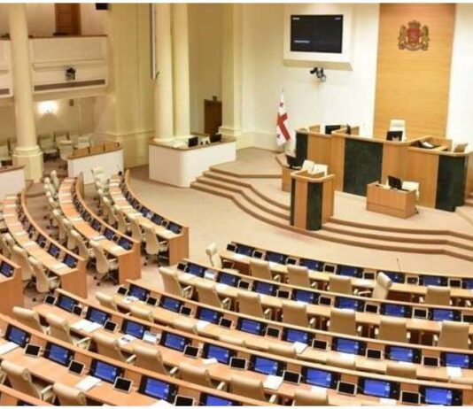 გრანტების მიღებასა და პოლიტიკურ აქტივობასთან დაკავშირებული წესები პარლამენტმა დაამტკიცა