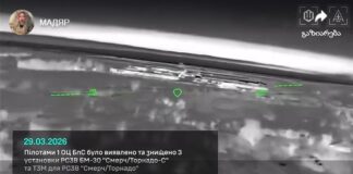 უკრაინულმა უპილოტოებმა ყირიმზე სამი რუსული “სმერჩი” გაანადგურეს