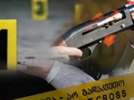 გორში იარაღით ძაღლი მოკლეს და მდინარეში ჩააგდეს – “ქართლის ამბები”