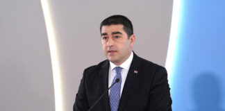 ჩვენ მათთან არაფერი სალაპარაკო არ გვაქვს – პაპუაშვილი “ლელოზე”