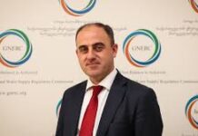 სემეკმა დაბალანსებული გადაწყვეტილება მიიღო – ნარმანია დენის ტარიფის გაძვირებაზე