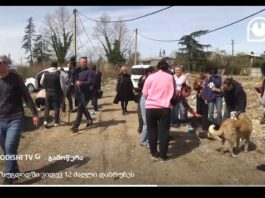 სეს აცხადებს, რომ ზუგდიდში ყველა ძაღლი დააბრუნა, ადგილობრივებს კი კითხვები აქვთ