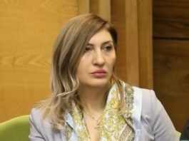 ნათია კუპრაშვილი, ქართულ-ევროპული საბჭოს საქართველოს მხრიდან თანათავმჯდომარედ აირჩიეს