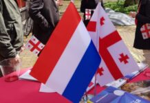 ნიდერლანდების პარლამენტში საქართველოს საკითხის შესახებ განხილვა მიმდინარეობს