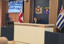 აჭარის უმაღლესი საბჭოს თავმჯდომარე ცოტნე ანანიძე გახდა