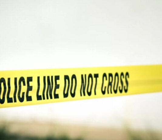 პოლონეთში 5 თვის ბავშვი დაიღუპა – დაკავებულია ქართველი დედა, მამაზე კი ძებნა გამოცხადდა