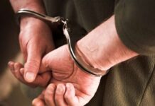 წითელი ცირკულარით ძებნილი პირი დააკავეს