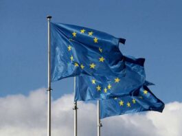 EU-ის ქვეყნებიდან გამოძევებული მოქალაქეების რაოდენობით საქართველო მეორე ადგილზეა