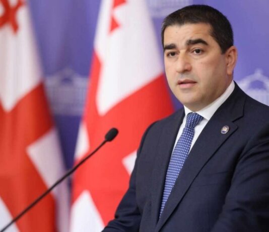 პაპუაშვილის თქმით, პარლამენტის აკრედიტაციის სისტემაში ცვლილებები შედის