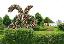 26 მაისი საქართველოს დამოუკიდებლობის დღეა